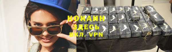 прущие крисы Белокуриха
