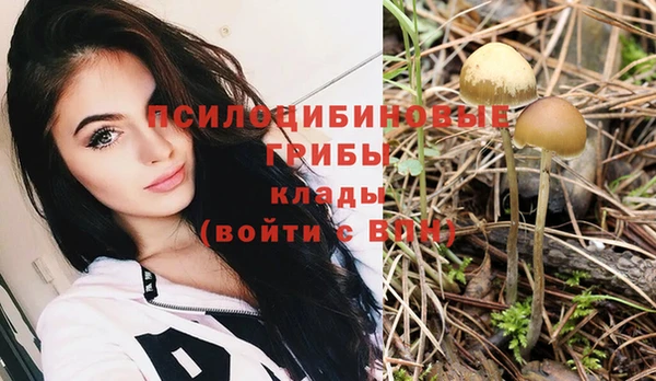 синтетический гашиш Белоозёрский